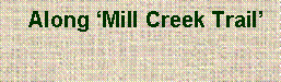 Text Box:   Along ‘Mill Creek Trail’