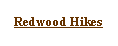 Text Box: Redwood Hikes
