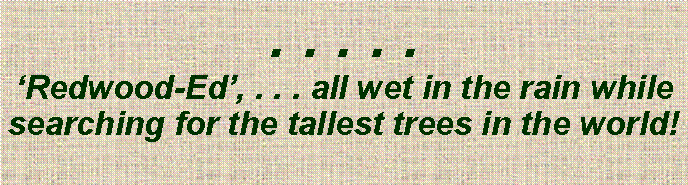 Text Box: . . . . .‘Redwood-Ed’, . . . all wet in the rain while searching for the tallest trees in the world! 
