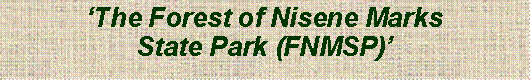 Text Box: ‘The Forest of Nisene MarksState Park (FNMSP)’