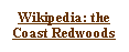 Text Box: Wikipedia: the  Coast Redwoods