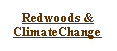 Text Box: Redwoods & ClimateChange