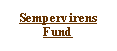 Text Box: Sempervirens  Fund