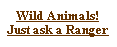 Text Box: Wild Animals!Just ask a Ranger
