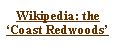 Text Box: Wikipedia: the  ‘Coast Redwoods’
