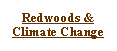 Text Box: Redwoods & Climate Change