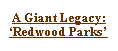 Text Box: A Giant Legacy:‘Redwood Parks’