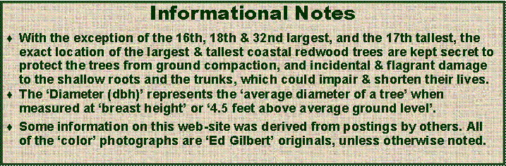 Text Box: Informational NotesWith the exception of the 16th, 18th & 32nd largest, and the 17th tallest, the exact location of the largest & tallest coastal redwood trees are kept secret to protect the trees from ground compaction, and incidental & flagrant damage to the shallow roots and the trunks, which could impair & shorten their lives.The ‘Diameter (dbh)’ represents the ‘average diameter of a tree’ when  measured at ‘breast height’ or ‘4.5 feet above average ground level’.Some information on this web-site was derived from postings by others. All  of the ‘color’ photographs are ‘Ed Gilbert’ originals, unless otherwise noted. 