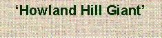 Text Box: ‘Howland Hill Giant’